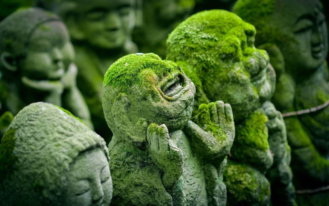 Buddha pszichológiája
