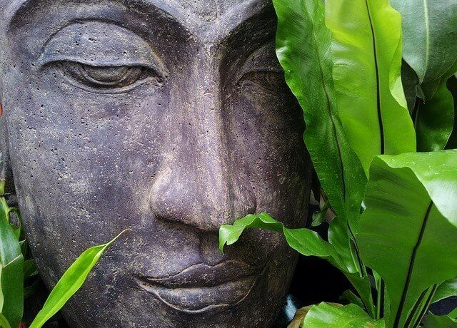 buddha buddha